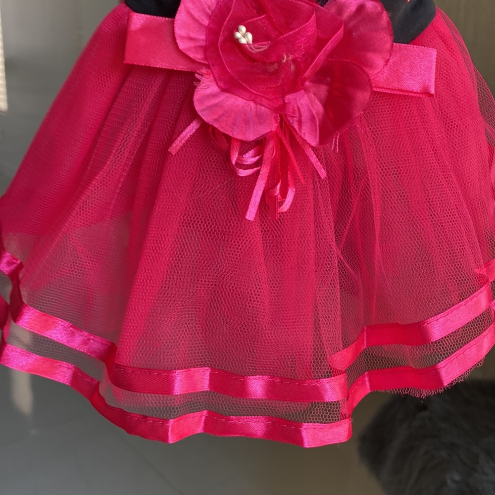 Dog Dress Black and Fuchsia. Size M - Picture 8 of 13